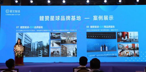 顺势而为，智赢未来 星宏科技助力烟台外贸企业转型升级